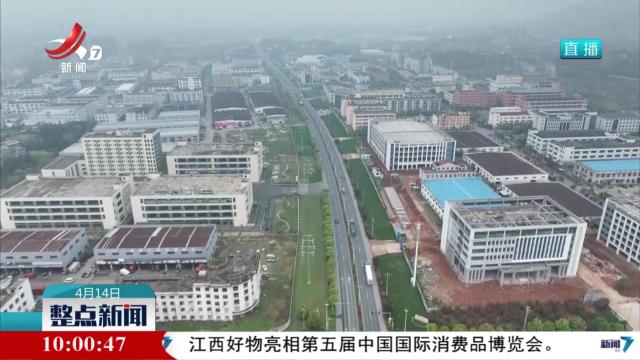 “引进来”“走出去” 以开放赋能高质量发展