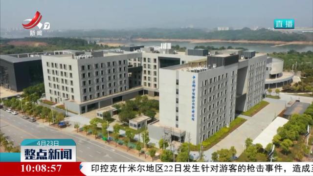整点新闻20250423 10：00
