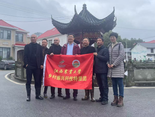 江西农大专家团赴宜丰县开展营造林管护技术指导