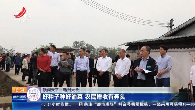 【赣闻天下】赣州大余：好种子种好油菜 农民增收有奔头