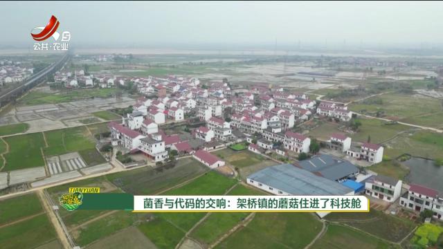 从田园到餐桌20250419