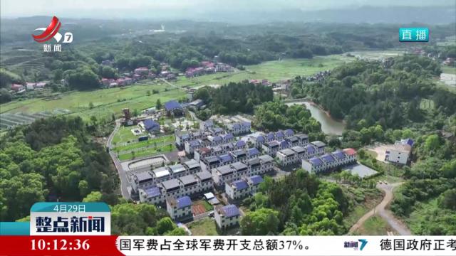整点新闻20250429 10:00