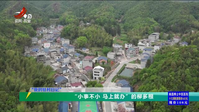 三农头条20250430