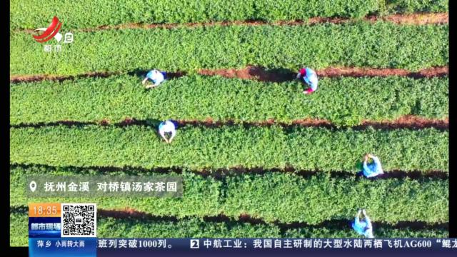 【特别策划】谷雨新韵 诗画江西