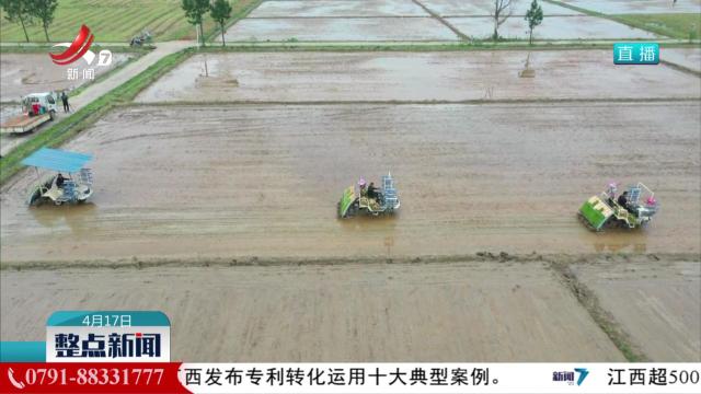 整点新闻20250417 12：00