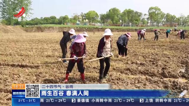 【二十四节气·谷雨】雨生百谷 春满人间