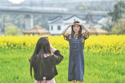 长天新闻丨江右时评：让赏花经济绽放持久生命力