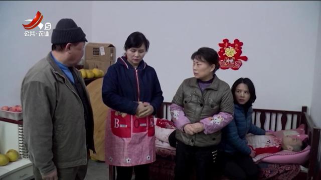 乡村栏目剧场20250418 命运