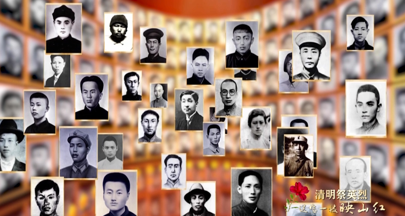 特别策划：清明 送您一枝映山红