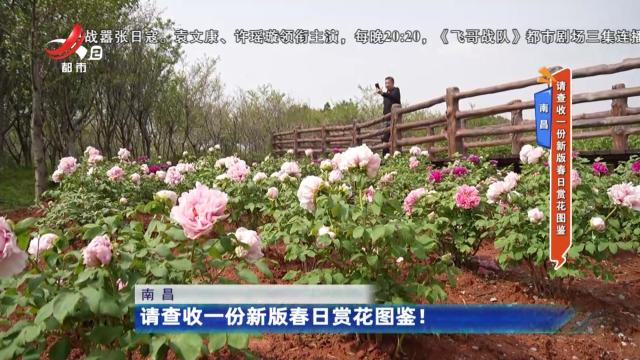 南昌：请查收一份新版春日赏花图鉴！