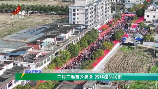 三农头条20250303