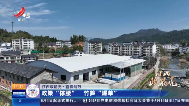 【江西政能亮】宜春铜鼓：政策“撑腰” 竹笋“爆单”