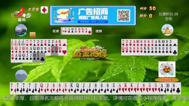 谁是赢家20250404