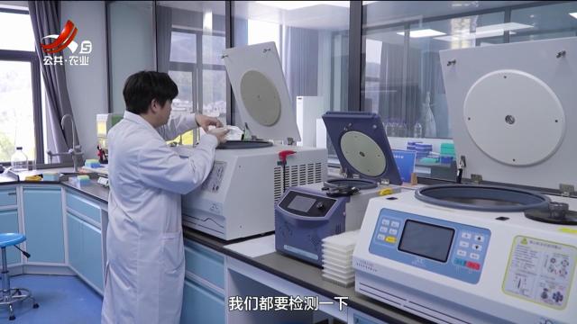 农问20250329