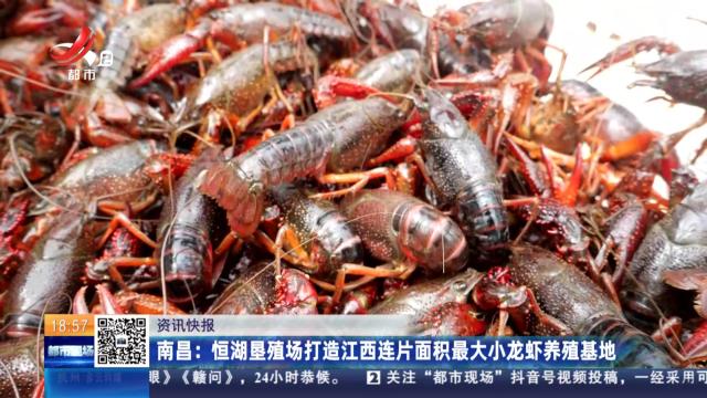 南昌：恒湖垦殖场打造江西连片面积最大小龙虾养殖基地