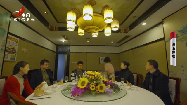 乡村栏目剧场20250403 远山呼唤