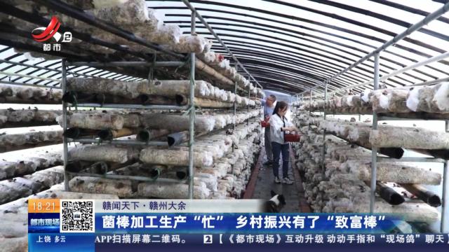 【赣闻天下】赣州大余：菌棒加工生产“忙” 乡村振兴有了“致富棒”