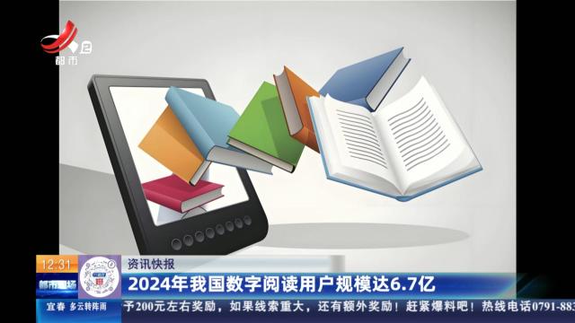 2024年我国数字阅读用户规模达6.7亿