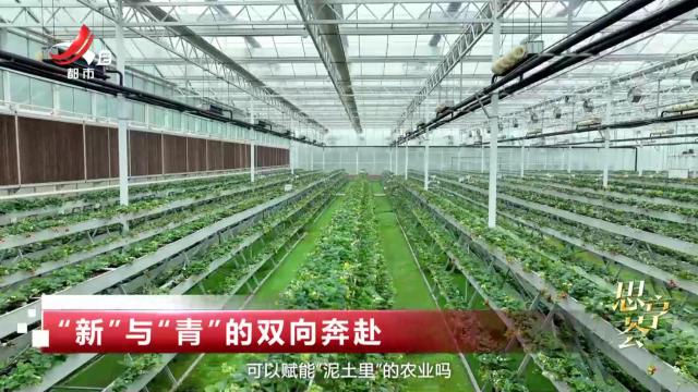 思享荟——“新”与“青”的双向奔赴