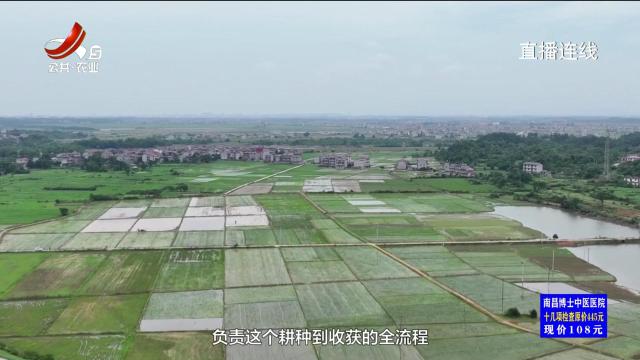 农问20250406