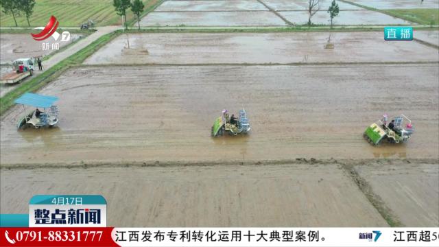 早稻播栽过六成 农机焕新效率高