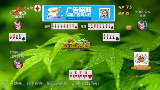 谁是赢家20250407