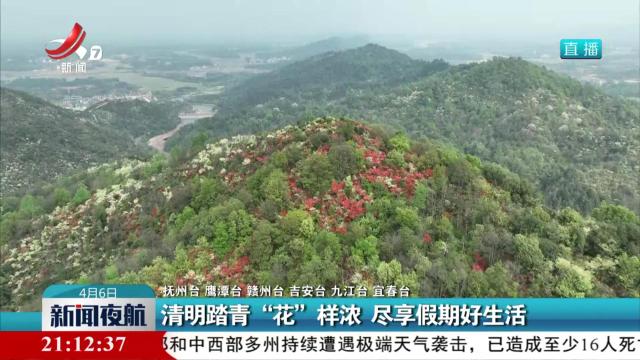 清明踏青“花”样浓 尽享假期好生活