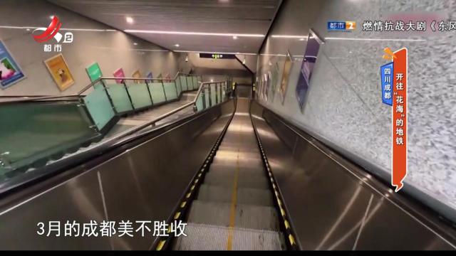 四川成都：开往“花海”的地铁