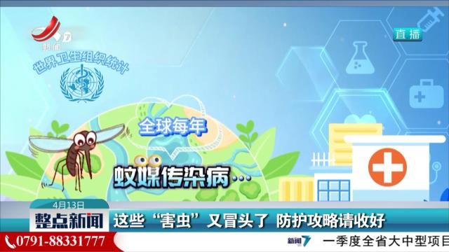 这些“害虫”又冒头了 防护攻略请收好
