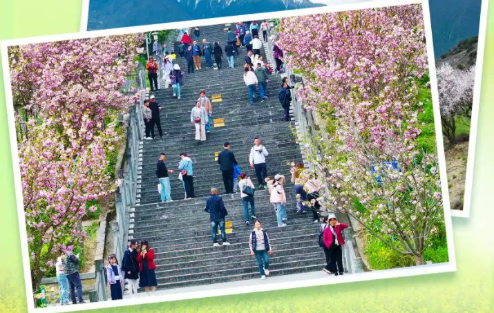 长天新闻丨江右时评：解锁消费新场景，让文旅消费“一路繁花”
