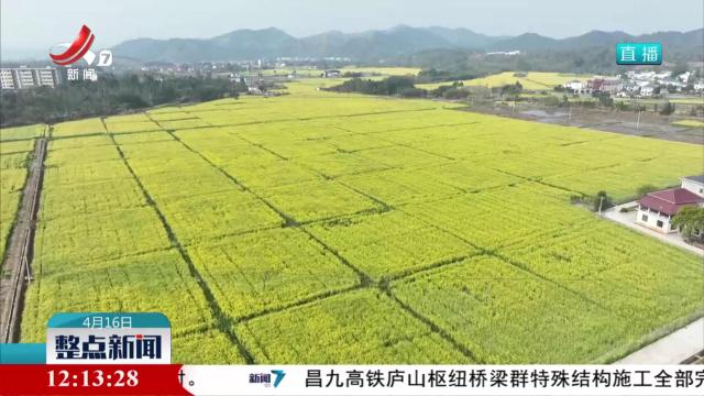 春耕正当时 民兵助农忙