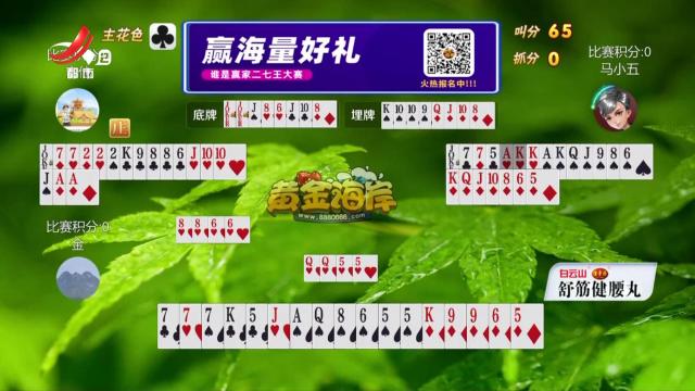 谁是赢家20250401