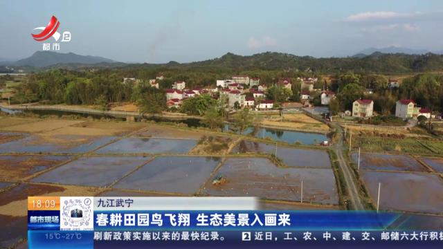 九江武宁：春耕田园鸟飞翔 生态美景入画来