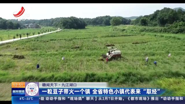 【赣闻天下】九江湖口：一粒豆子带火一个镇 全省特色小镇代表来“取经”