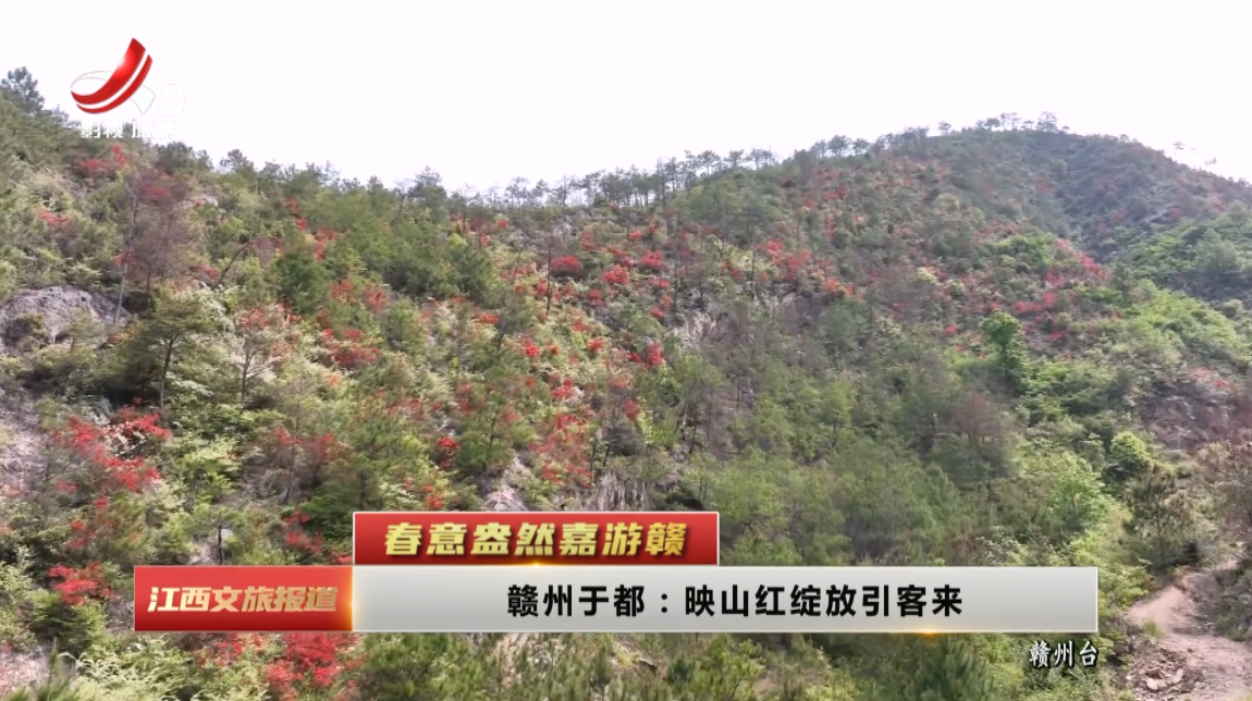 江西文旅报道20250409