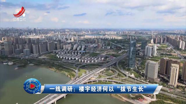 社会传真20250415 一线调研：楼宇经济何以“拔节生长”
