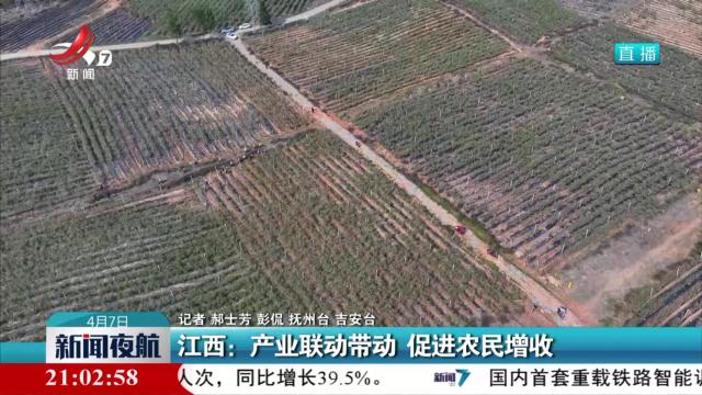 江西：产业联动带动 促进农民增收
