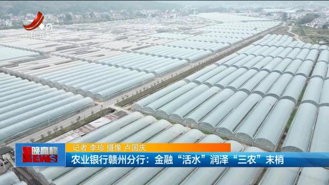 农业银行赣州分行：金融“活水”润泽“三农”末梢