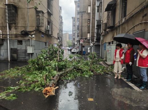 丰城市剑光街道坪家湖社区：暴雨中齐心挪树保畅通
