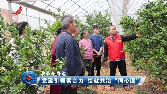 社会传真20250427 【改革在身边】党建引领聚合力 绘就共治“同心圆”