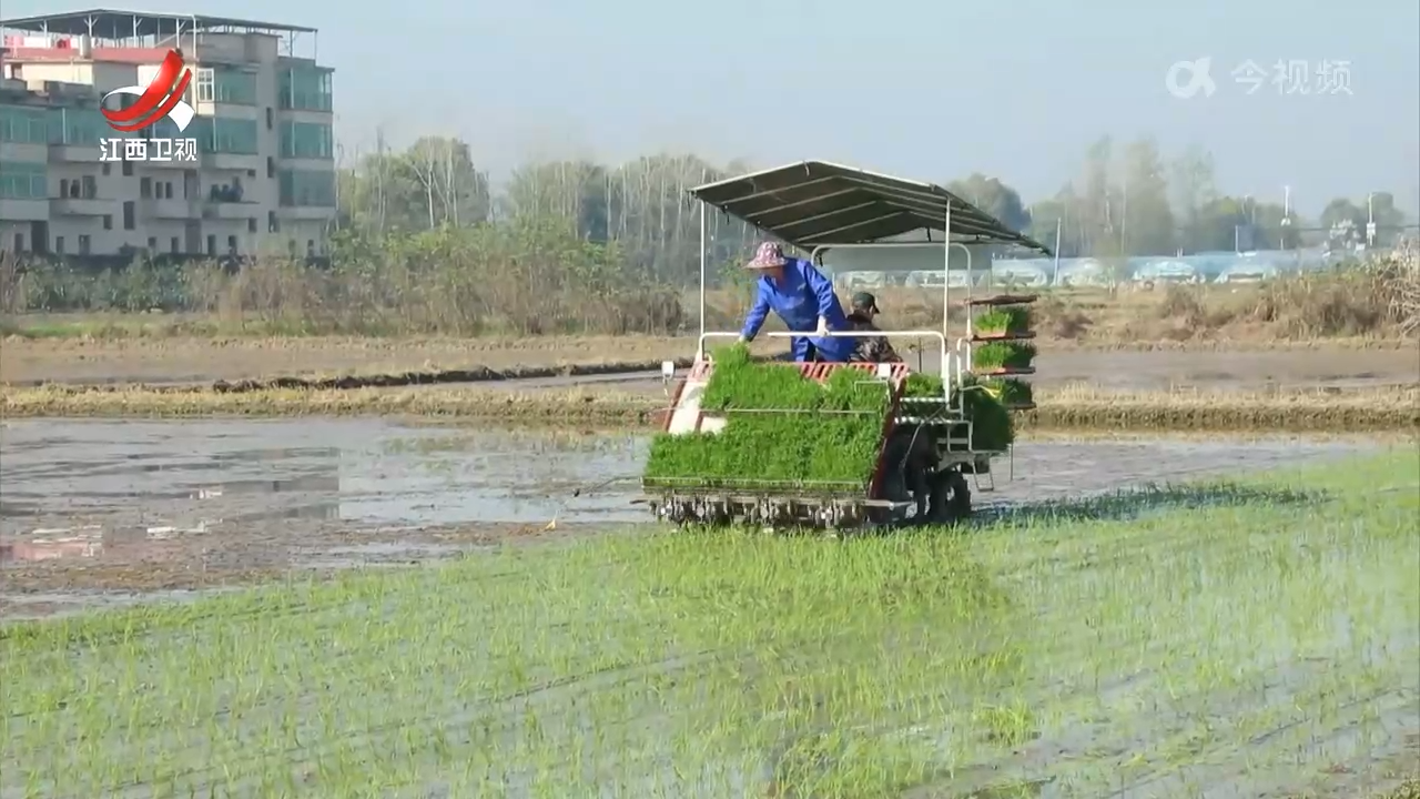 江西新闻联播20250416