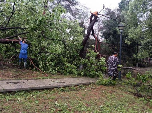上高县林业局：积极应对极端天气 全力守护生态安全