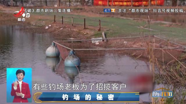 晚间800 20250404 钓场的秘密