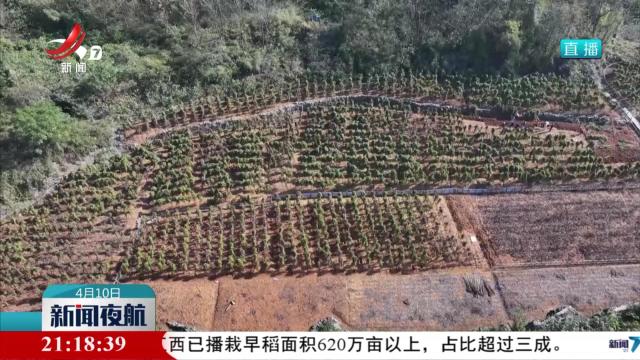 我省地理标志保护认定产品增至70个