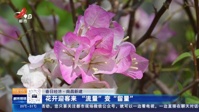 【春日经济】南昌新建：花开迎客来 “流量”变“留量”