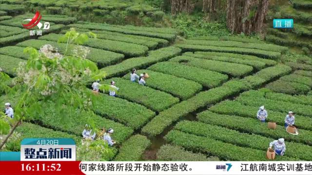 整点新闻20250420 16：00