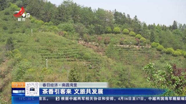 【春日经济】南昌湾里：茶香引客来 文旅共发展