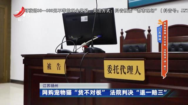 江苏扬州：网购宠物猫“货不对板” 法院判决“退一赔三”