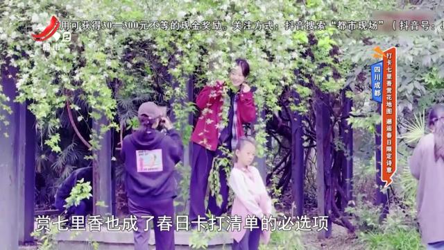 地宝当家20250430