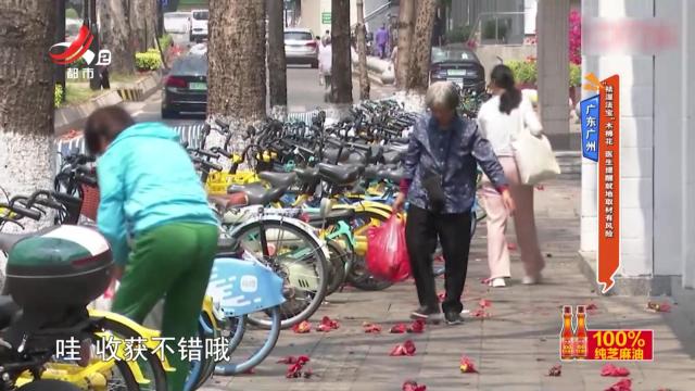 地宝当家20250424